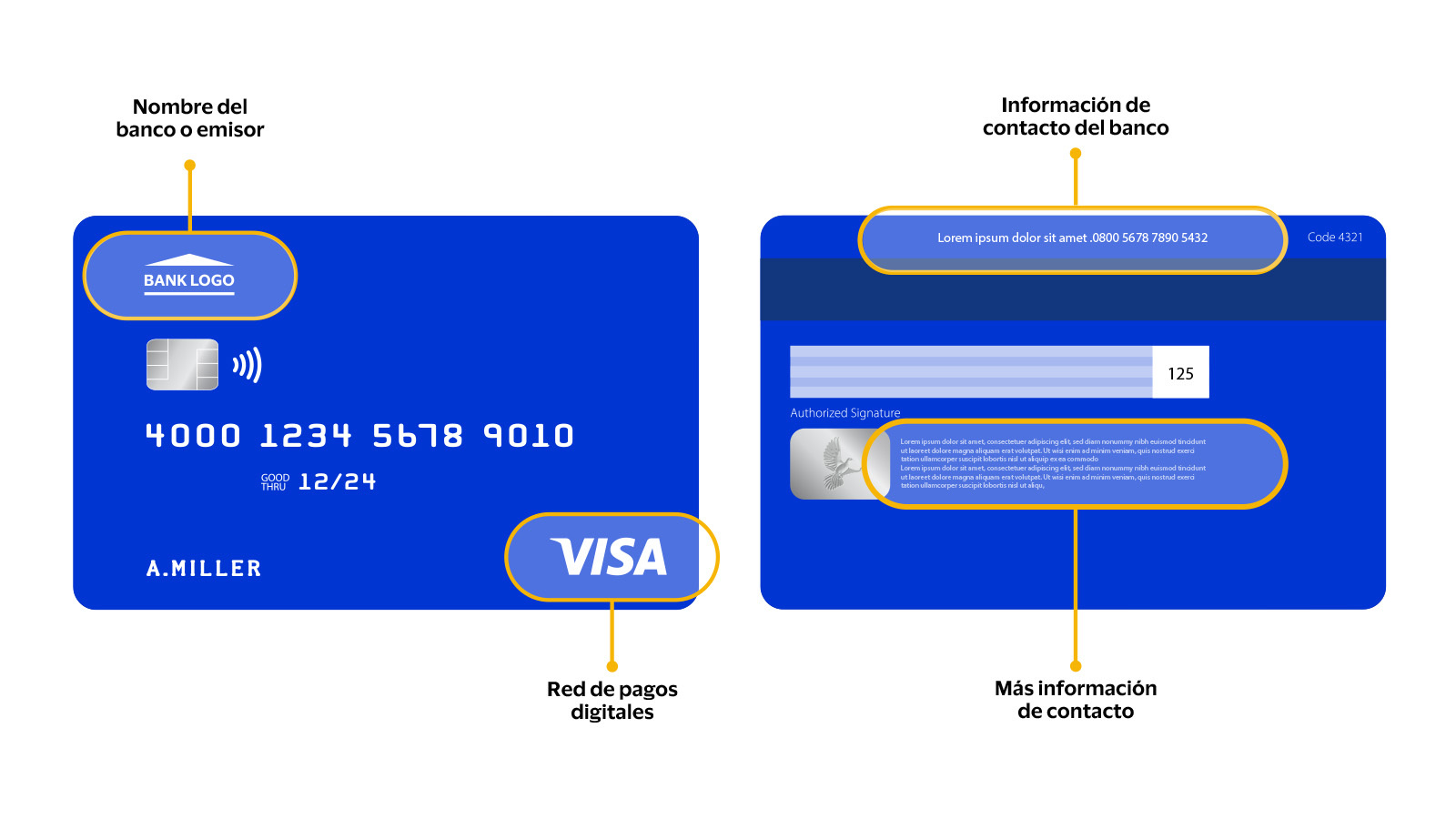 Frente y dorso de tarjeta Visa con indicadores